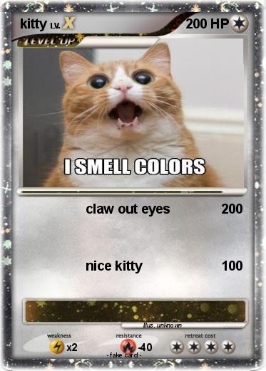 Pokemon kitty