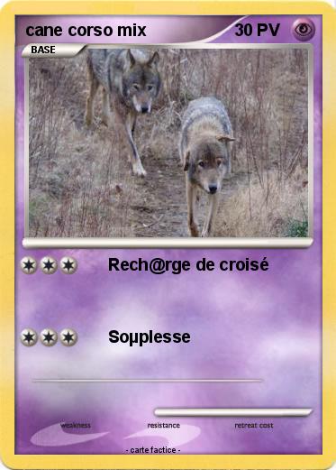 Pokemon cane corso mix