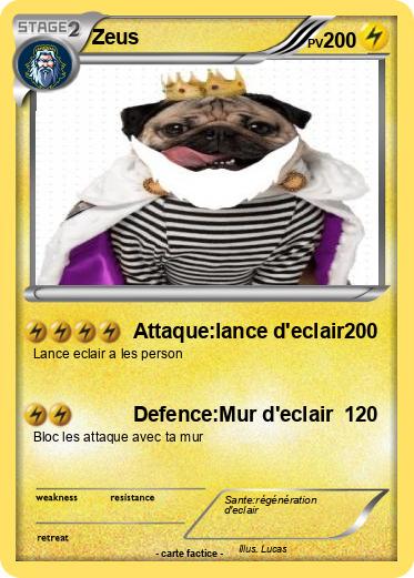 Pokemon Zeus