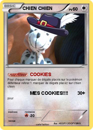 Pokemon CHIEN CHIEN