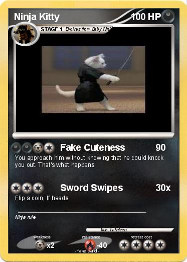 Pokemon Ninja Kitty