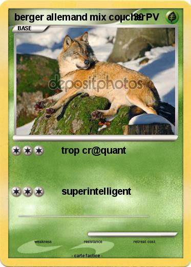 Pokemon berger allemand mix coµcher