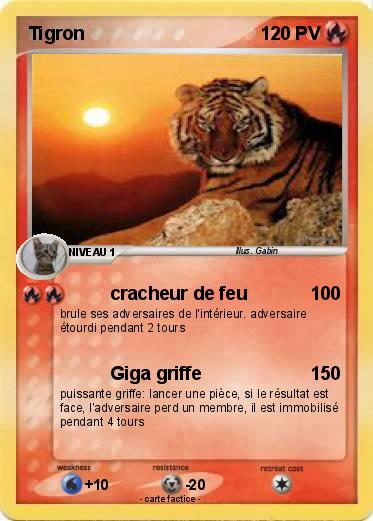 Pokemon Tigron