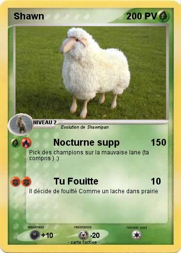 Pokemon Shawn
