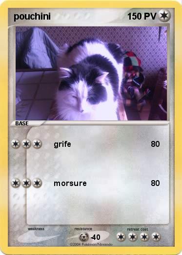 Pokemon pouchini 