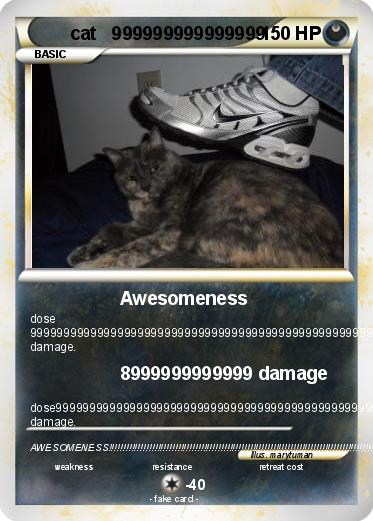 Pokemon cat   999999999999999