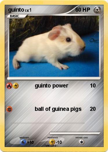 Pokemon guinto