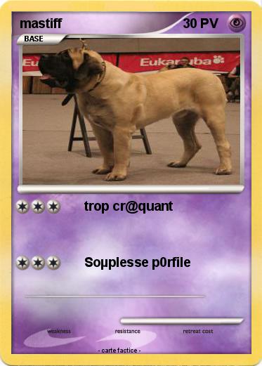 Pokemon mastiff