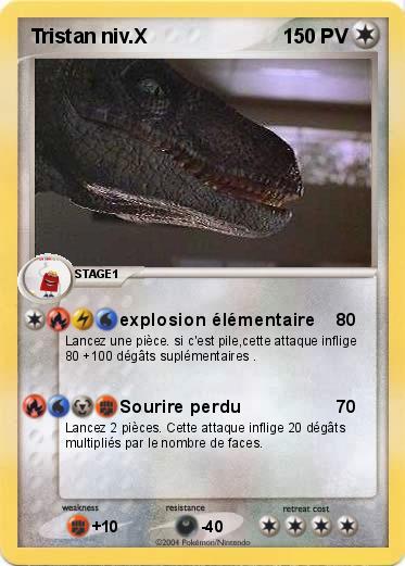 Pokemon Tristan niv.X