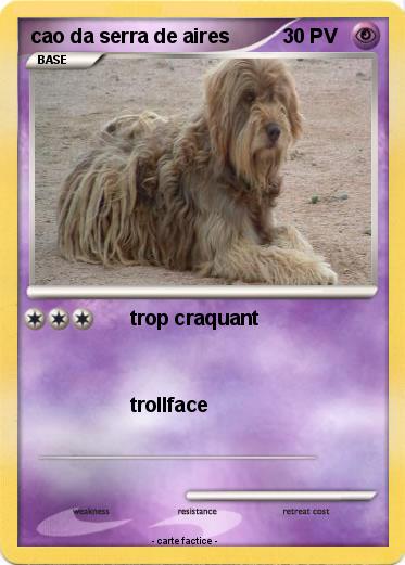 Pokemon cao da serra de aires