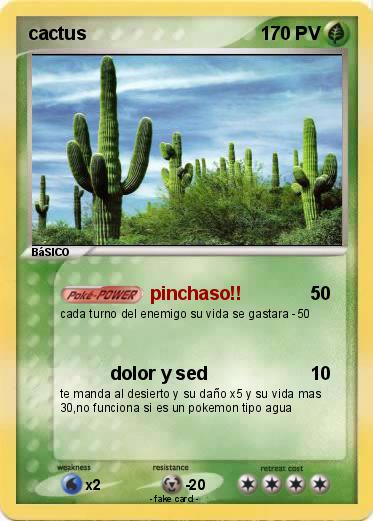 Pokemon cactus