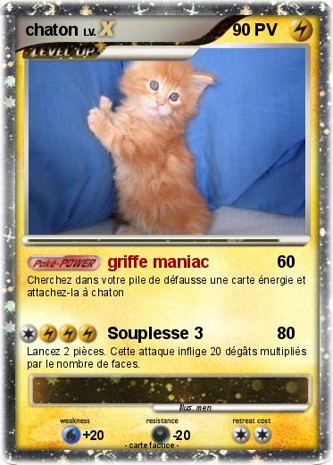 Pokemon chaton