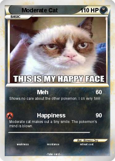 Pokemon Moderate Cat