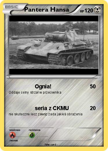 Pokemon Pantera Hansa