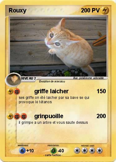Pokemon Rouxy