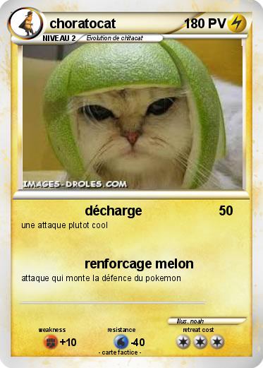Pokemon choratocat