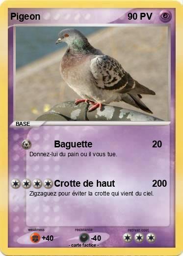 Pokemon Pigeon