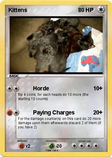 Pokemon Kittens