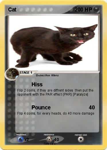 Pokemon Cat