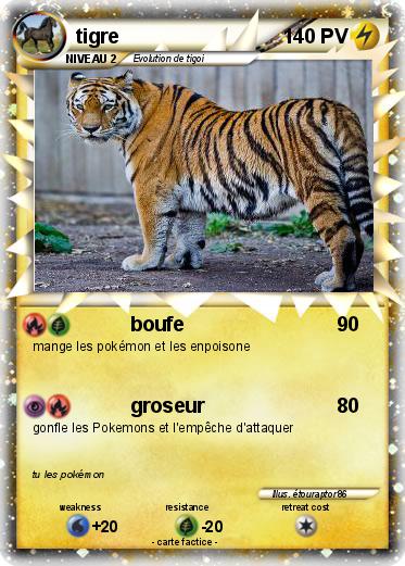 Pokemon tigre