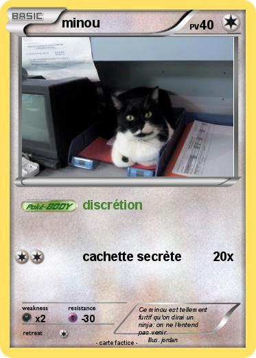 Pokemon minou