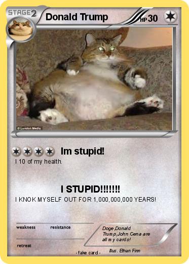 Pokemon Donald Trump