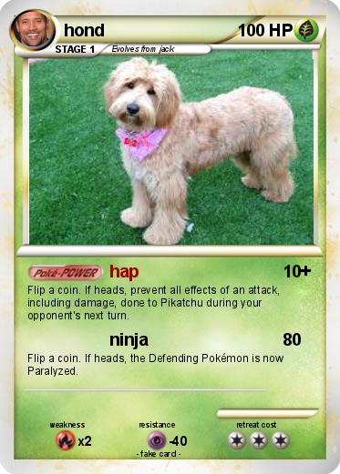 Pokemon hond