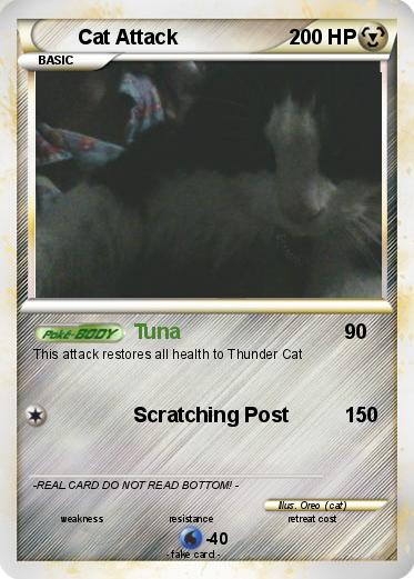 Pokemon Cat Attack