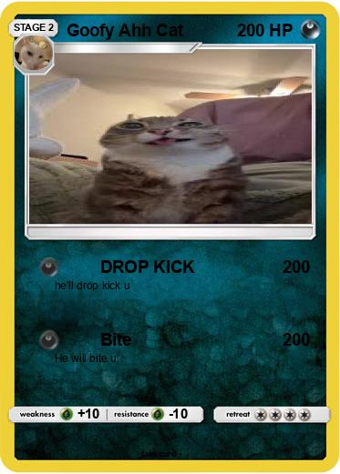 Pokemon Goofy Ahh Cat
