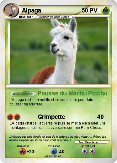 Pokemon Alpaga