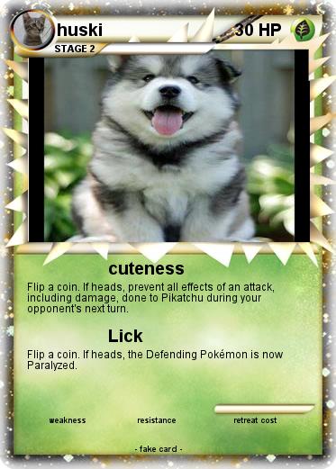 Pokemon huski