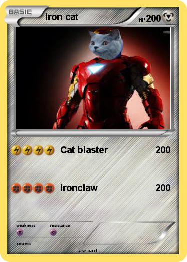 Pokemon Iron cat
