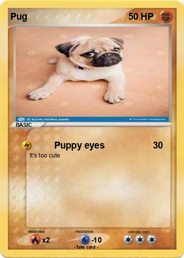 Pokemon Pug