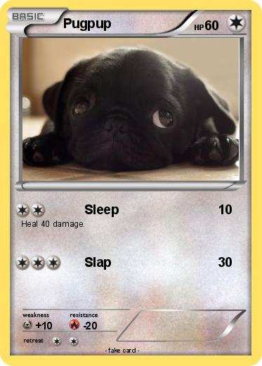 Pokemon Pugpup