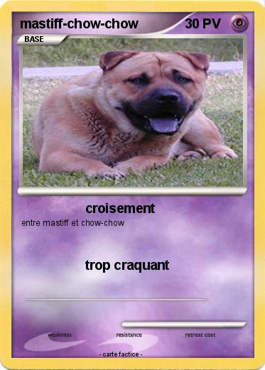 Pokemon mastiff-chow-chow