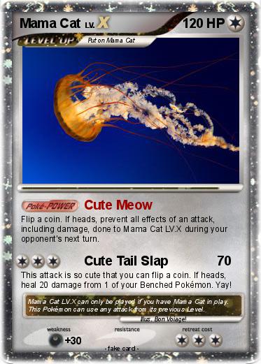 Pokemon Mama Cat