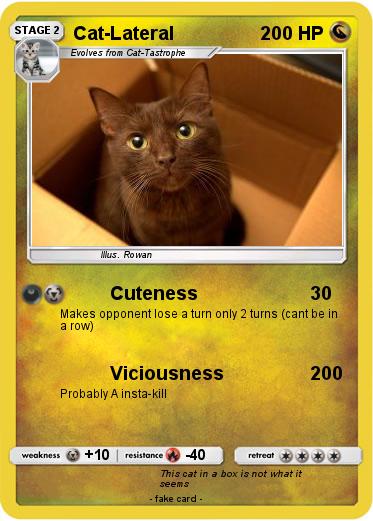 Pokemon Cat-Lateral