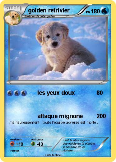 Pokemon golden retrivier