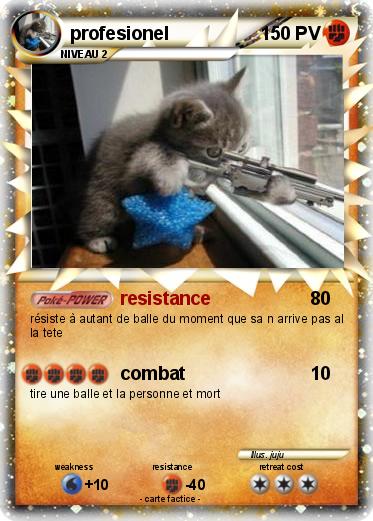 Pokemon profesionel