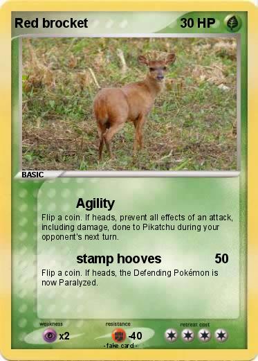 Pokemon Red brocket