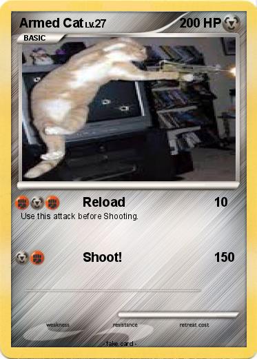 Pokemon Armed Cat
