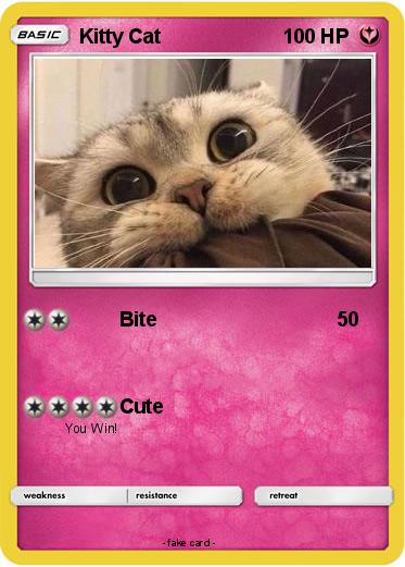Pokemon Kitty Cat