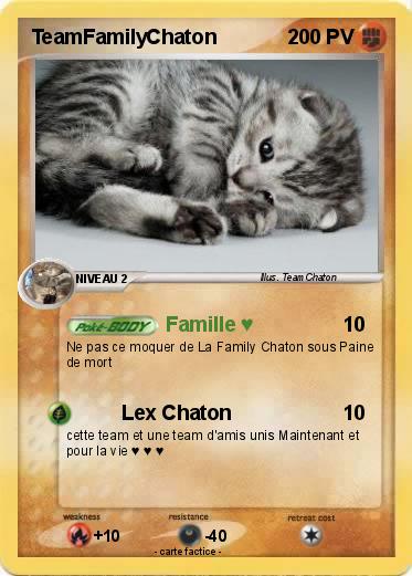 Pokemon TeamFamilyChaton
