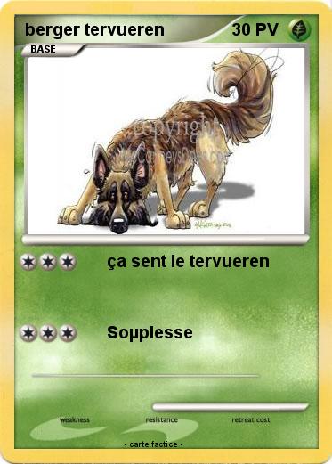 Pokemon berger tervueren
