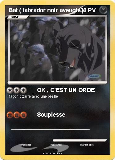 Pokemon Bat ( labrador noir aveugle )