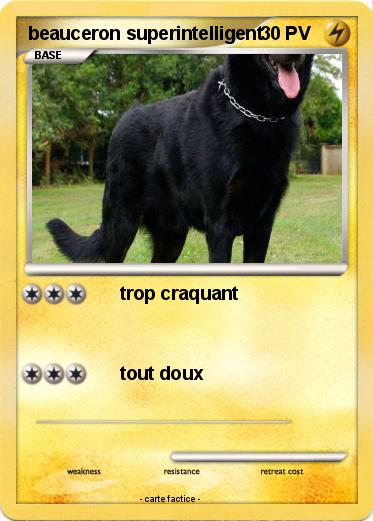 Pokemon beauceron superintelligent