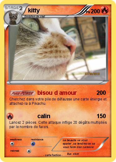 Pokemon kitty
