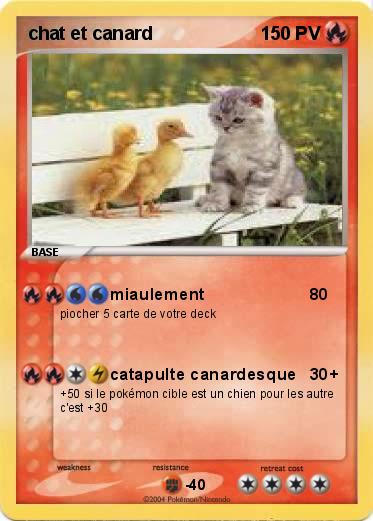 Pokemon chat et canard