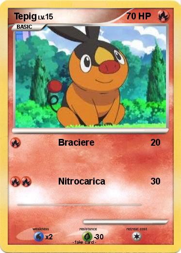 Pokemon Tepig