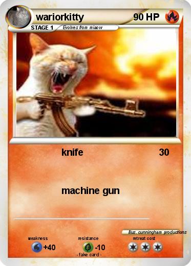 Pokemon wariorkitty